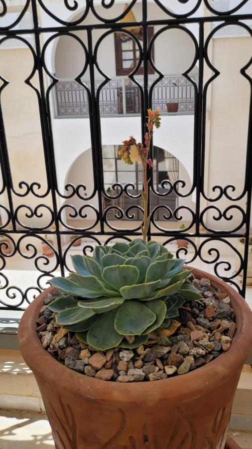 Riad Nohad Marrakech マラケシュ エクステリア 写真